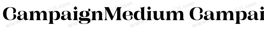 CampaignMedium CampaignBold字体转换